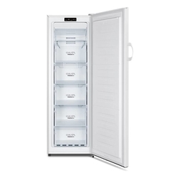 Gorenje FN4171CW